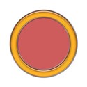 frame orange cir