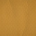 bg (1)