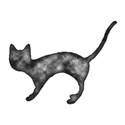 blackcat