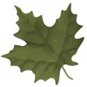 leafgreen