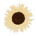 sunflowercream