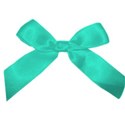 ribbon4