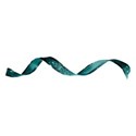 bow ribbon teal