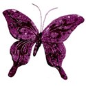 butterfly pink