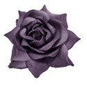 rose purple