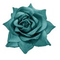 rose teal