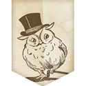 Owl Banner