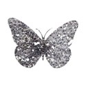 DZ_WinterSparkle_butterfly3