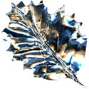 DZ_WinterSparkle_alumleaf5