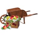 apple wagon