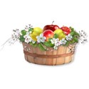 apple basket