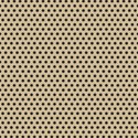 bg24
