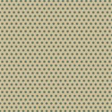 bg25