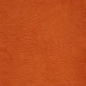 bg4