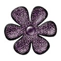 flowerpurple