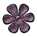 flowerpurple