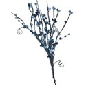 berries 1 blue