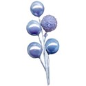 berries 2 blue