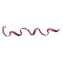 ribbon purple