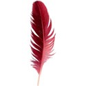 feather 2