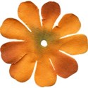 flower 7