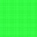 background19