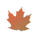 leaf5
