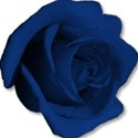 roseblue