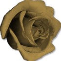 rosegold