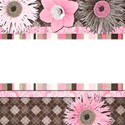 CaseyKrause_ANolan_love_QP20