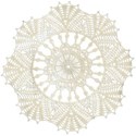 Doily copy