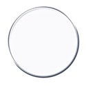 coin white