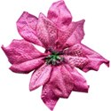 chey0kota_ChristmasRose_Elements (15)