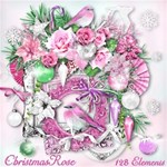 Christmas Rose