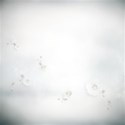 bg (6)