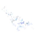 element (23)