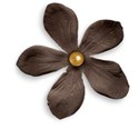 Flower 05
