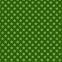 bg 19
