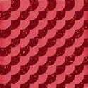 bg 24