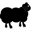 sheepB