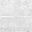 bg (20)