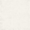 bg (1)