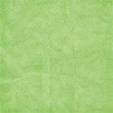 bg (6)