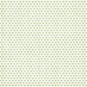 bg (5)