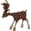 Reindeer