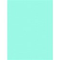 checker - light cyan