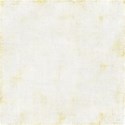 bg (1)