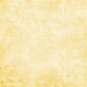 bg (7)