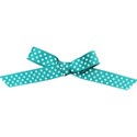 bow teal 1