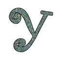 y1